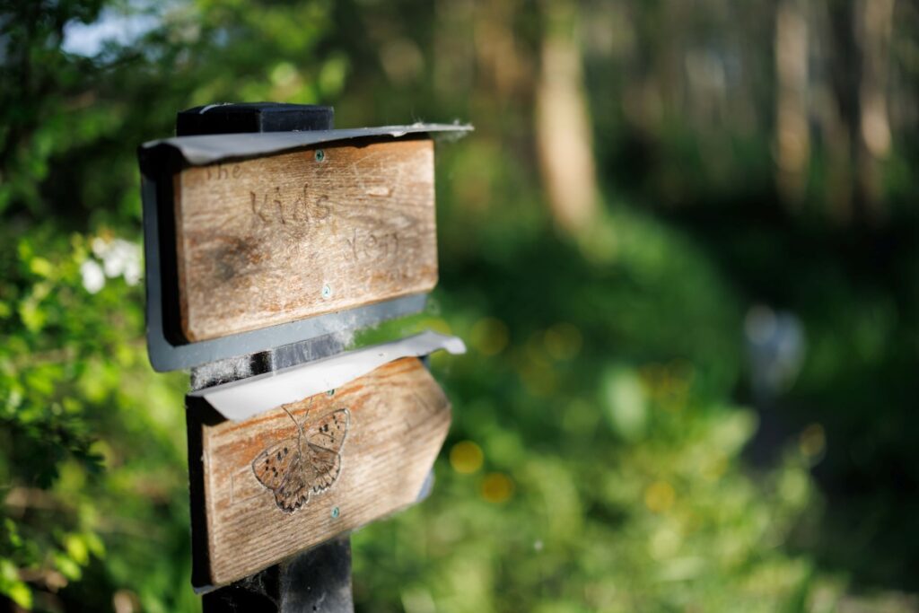 The woodland magic begins at Pure Space glamping, Loop Head Peninsula, County Clare, Ireland